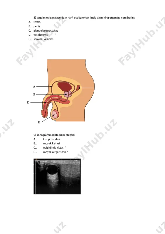 prostata adenomasi - Page 5
