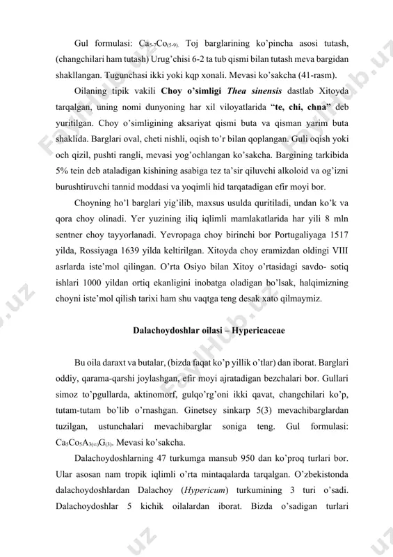 ) dan iborat. barglari oddiy, qarama-qarshi joylashgan, efir moyi ajratadigan bezchalari bor. gullari simoz to’pgullarda, aktinomorf, gulqo’rg’oni ikki qavat, changchilari ko’p, tutam-tutam bo’lib o’rnashgan. ginetsey sinkarp 5(3) mevachibarglardan tuzilgan, ustunchalari mevachibarglar soniga teng. gul formulasi: ca5co5a3(∞)g(3). mevasi ko’sakcha. dalachoydoshlarning 47 turkumga mansub 950 dan ko’proq turlari bor. ular asosan nam tropik iqlimli o’rta mintaqalarda tarqalgan. o’zbekistonda dalachoydoshlardan dalachoy (hypericum) turkumining 3 turi o’sadi. dalachoydoshlar 5 kichik oilalardan iborat. bizda o’sadigan turlari dalachoydoshchalar (hypericoideae) kichik oilasiga mansubdir. dalachoy (hypericum) o’t yoki yarimbutachalar, barglari oddiy, qarama-qarshi o’rnashgan. gullari sariq, to’g’ri, 5 a’zoli, changchilari ko’p, 3-5 bog’lam hosil qiladi, mevasi 3 uyali ko’sakcha (41-rasm). dalachoy turkumi turlarga boy. turlari orasida butalar, yarimbutalar, ko’p yillik o’tlari ham uchraydi. bitta turi hatto suv o’simligidir (h. elodes). qizilpoycha (h. scabrum) bo’yi 20-40 sm keladigan serpoya, poyasi qizg’ish, g’adir-budur, ildiz bo’g’zi yog’ochlangan ko’p yillik o’t. gullari sariq, changchilari tojdan uzunroq, adir va tog’ mintaqalarining yonbag’irlarida o’sadi. dalachoy …