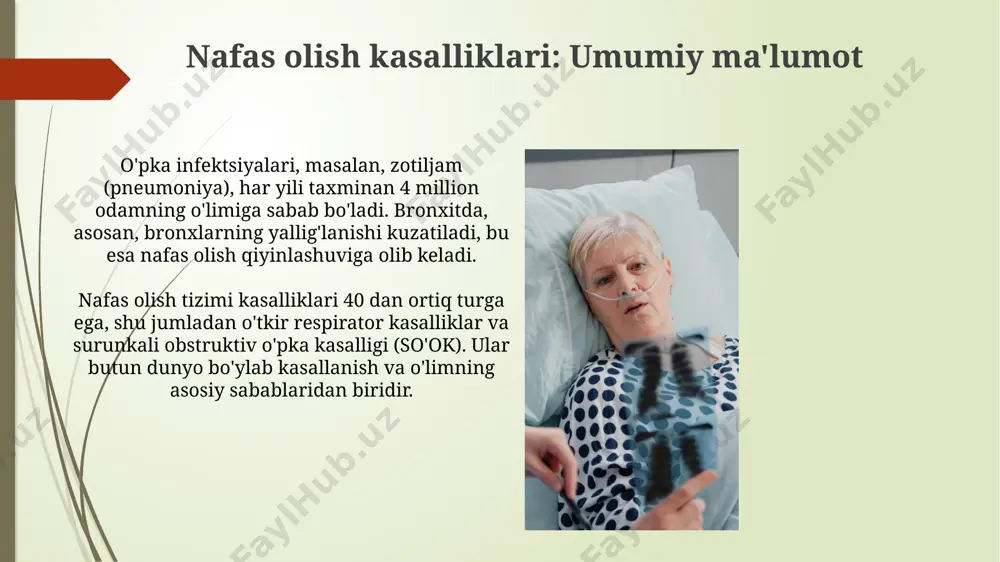 nafas olish azolari kasalliklari - Page 4