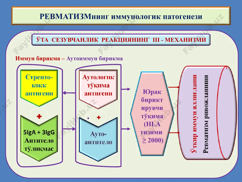 ревматизм - Page 4