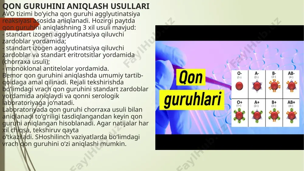 ‘lgan retsipientga faqat rezus omili manfiy bo‘lgan qon quyilishi zarur. klinikada rezus omilni ekspress usulda aniqlashning quyidagi usullari mavjud: - probirkada isitilmasdan standart universal reagent bilan ekspress usulda aniqlanadi; - yassi sathda isitmasdan ekspress usulda aniqlanadi sinamani bajarish usuli: 1. hajmi kamida 10 ml bo‘lgan sentrifuga probirkasi olinadi. probirka tubiga 33% poliglyukin eritmasida eritilgan ab(iv) guruhining antirezus zardobidan bir tomchi tomiziladi. ustiga tekshirilayotgan qondan bir tomchi qo‘shiladi. probirkani aylanma harakatga keltirib, aralashmani probirka ichki devoriga yoyiladi. odatda agglyutinatsiya bir minutda ro‘y beradi, lekin kamida 3 minut davomida kutib, turg‘un «antigen - antitelo» kompleksi hosil bo‘lishini aniqlash zarur. shundan so‘ng 2 - 3 ml fiziologik eritma qo‘shiladi va probirka 2 - 3 marta ag‘darilib, aralashtiriladi. 3 agglyutinatsiya bo‘lsa, aniqlangan qon rezus -musbat, agar agglyutinatsiya aniqlanmasa, qon rezus - manfiy hisoblanadi. 2. yassi sathli oq plastinka olinadi va unga bemor ism, sharifi yoziladi. yassi sathning chap burchagiga «antirezus-zardob» o‘ng burchagiga «nazorat zardobi» …