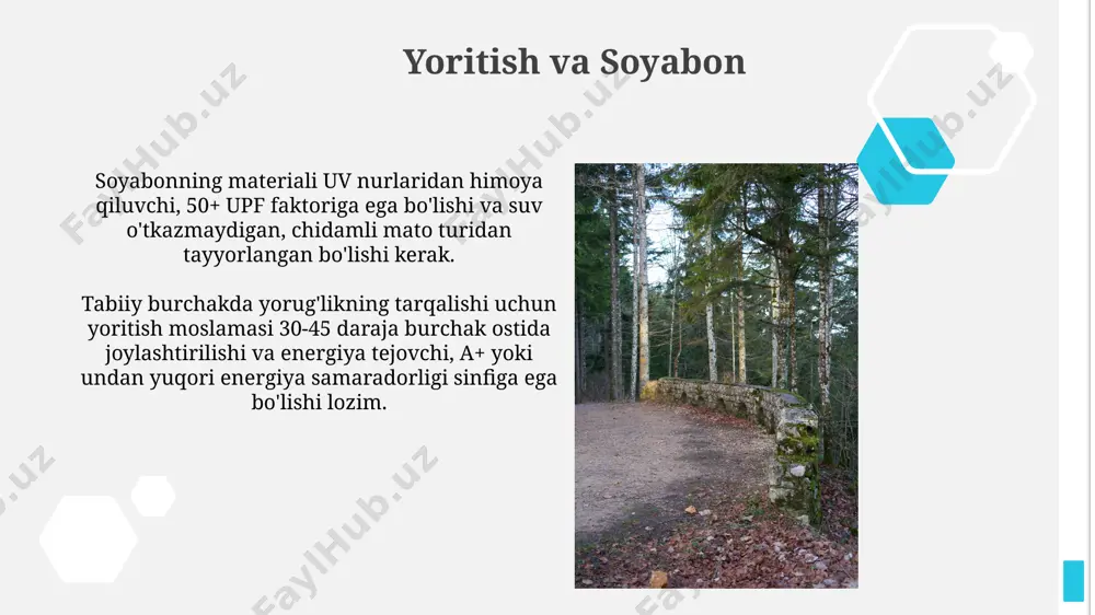 tabiat burchagiga qo'yiladigan talablar - Page 5
