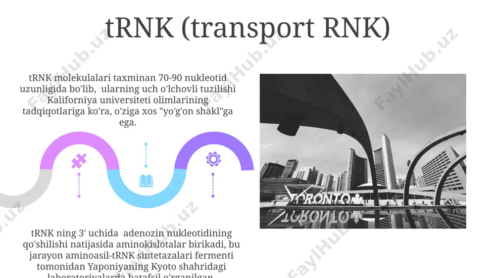 rnk tuzulishi va turlari - Page 5