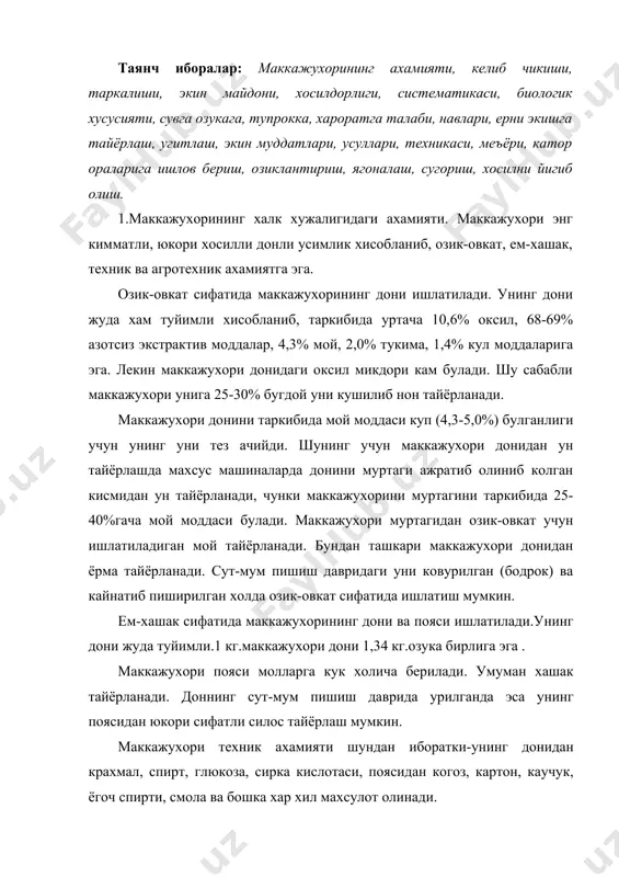 глюкоза, сирка кислотаси, поясидан когоз, картон, каучук, ёгоч спирти, смола ва бошка хар хил махсулот олинади. маккажухори агротехник ахамиятга хам эгадир. у кургокчиликга чидамли ва чопик талаб усимлик булганлиги учун тупрокда бегона утлар камаяди. маккажухорини тезпишар навларини экиш натижасида бир йилда икки марта хосил олиш имконини беради ва уни бошка экинлар билан бирга кушиб экиш мумкин. 2.маккажухори жуда кадимги усимлик, у марказий америкадан келиб чиккан. марказий американинг махаллий халки бизни эрамиздан 2400-2300 йил олдин экиб келган. америка очилгандан сунг маккажухори катта экин майдонларига экилганлиги маълум. америкадан маккажухори ху асрда овропага келтирилган, шу пайтда португалияликлар томонидан маккажухори хиндистон, хинди-хитой, хитой мамлакатларига келтирилган. россияга маккажухори xvii асрда грузиядан таркалган. xviii асрнинг охири xix асрнинг бошларида у гарбий хитойдан урта осиёга келтирилган. ер юзида маккажухори экини 110 млн гектар ерга экилади.узбекистонда 1990 йил факат дон учун 108,5 минг гектар ерга экилган. хосилдорлиги. маккажухори юкори хосилли экин. узбекистоннинг сугориладиган ерларида унинг хар гектаридан 40-50 …