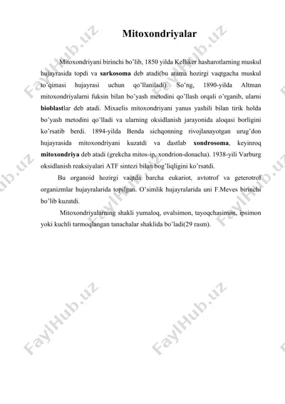 mitoxondriyalar — DOCX