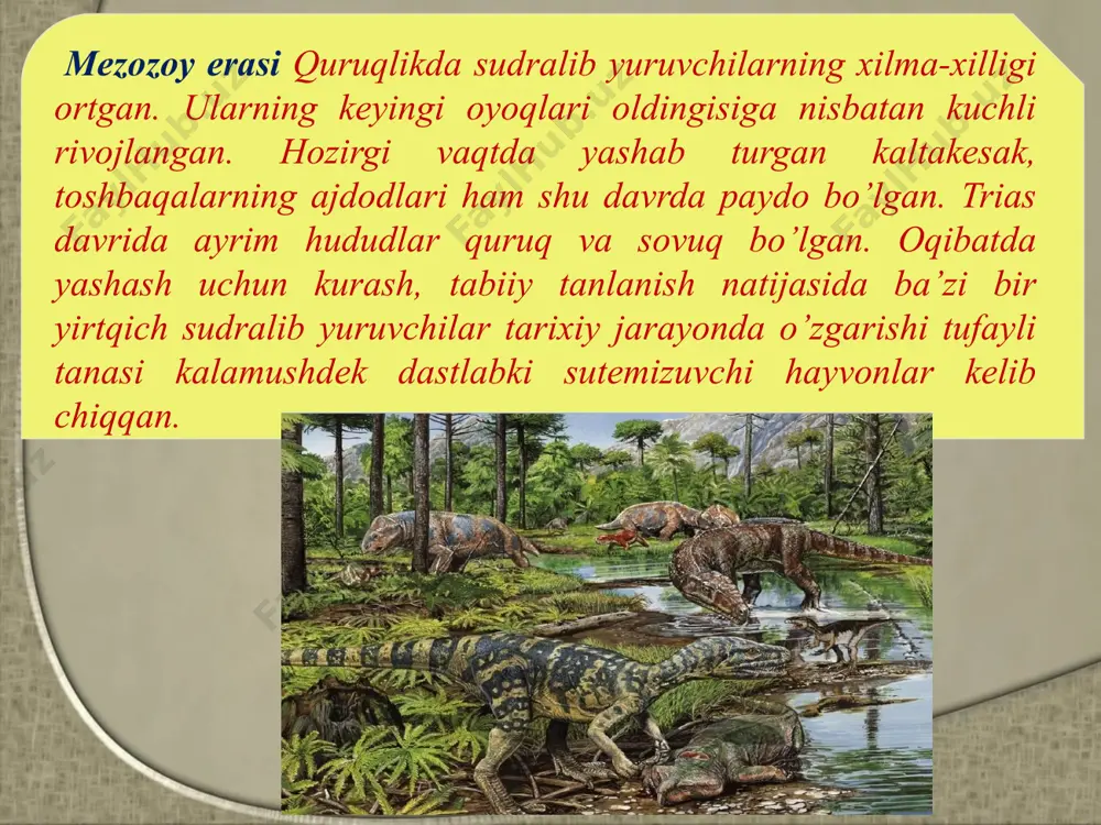 mezozoy, kaynozoy eralaridagi hayot - Page 3