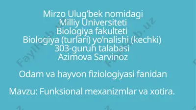 funksional mexanizmlar va xotira — PPTX