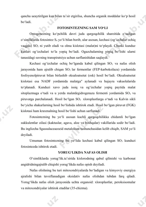 so2 dan xam foydalanadi. shuning uchun xam s4 о‘simliklari qurg‘oqchilikka, shо‘rlikka nisbatan chidamli bо‘ladilar. bunday о‘simliklar odatda yorug‘likni sevuvchan bо‘ladilar va sutka davomida qancha ueaytirilgan kun bilan ta’sir etgirilsa, shuncha organik moddalar kо‘p hosil bо‘ladi. fotosintezning sam yо‘li ontogenezning kо‘pchilik davri juda qurgoqchilik sharoitida о‘tadigan о‘simliklarda fotosintez s4 yо‘li bilan borib, ular asosan, kechasi (og‘izchalar ochiq vaqgda) so2 ni yutib oladi va olma kislotasi (malat)ni tо‘playdi. chunki kunduz kunlari og‘izchalari tо‘la yopiq bо‘ladi. ogazchalarning yopiq bо‘lishi ularni tanasidagi suvning transpiratsiya uchun sarflanishidan saqlaydi. kechasi og‘izchalar ochiq bо‘lganda kabul qilingan so2 va nafas olish jarayonida ham ajralib chiqan so2 lar fermentlar (fep-karboksilaza) yordamida fosfoyenolpiruvat bilan birlashib oksaloatsetat (osk) hosil bо‘ladi. oksaloatsetat kislotasi esa nadf yordamida malatga" aylanadi va hujayra vakuolalarida tо‘planadi. kunduzi xavo juda issiq va og‘izchalar yopiq paytida malat sitoplazmaga о‘tadi va u yerda malatdegidrogenaza fermenti yordamida so2 va piruvatga parchalanadi. hosil bо‘lgan so2 xloroplastlarga о‘tadi va kalvin sikli bо‘yicha …
