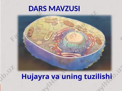 biologiya dars mavzusi — PPTX