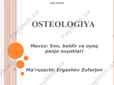 osteologiya — PDF