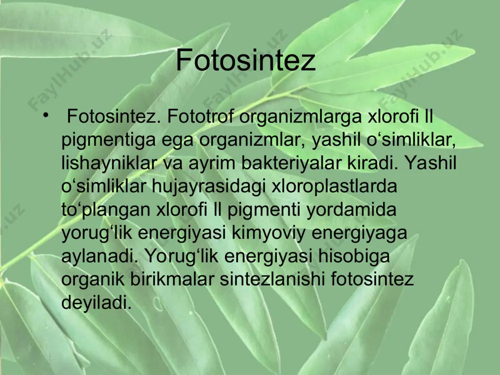 plastik almashinuv. genetik kod - Page 5