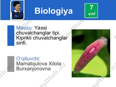 yassi chuvalchanglar tipi — PPT
