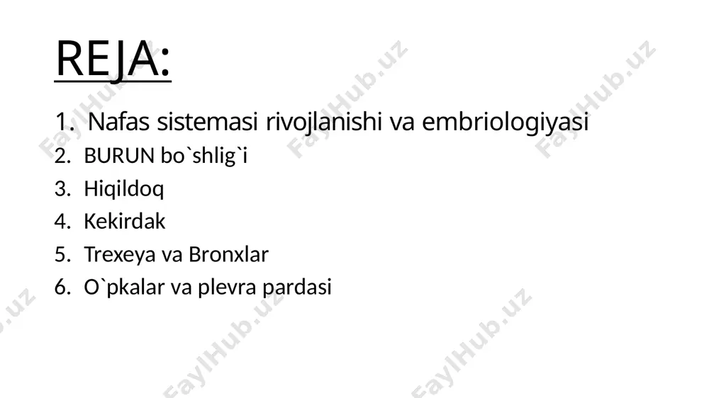 qadahsimon hujayralar qo`shimcha hujayralar endokrinotsitlar langergans hujayralari kipriksiz m hujayralar endokrinotsitlar (k-kulchitskiy hujayralar) mayda granulyar hujayralar apud sistemasiga kiradi bioamin (serotonin, noradrenalin) va peptidlar (bombezin, kalsitonin) ishlab chiqaradi kipriksiz hujayralar ichak m-hujayralari analogi largengans hujayralari kabi funksiya bajaradi image1.jpg image2.png image3.jpg image4.png image5.jpg image6.jpg image7.jpg image8.jpg image9.jpg image10.jpg image11.png /docprops/thumbnail.jpeg