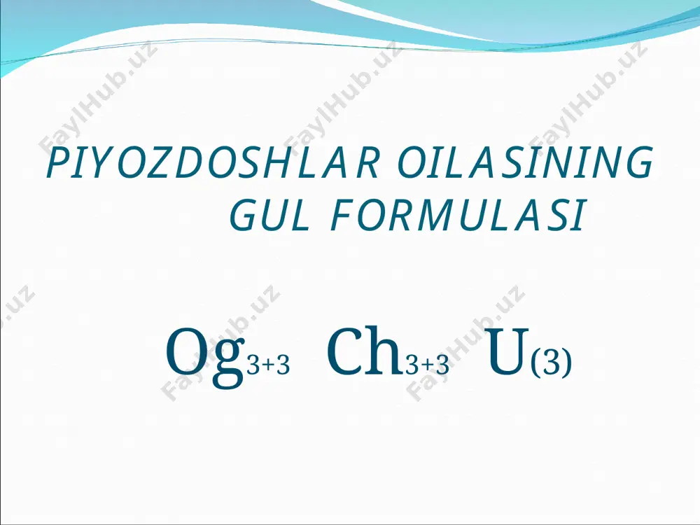 piyozdoshlar oilasi - Page 3