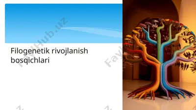 filogenetik rivojlanish bosqichlari — PPTX