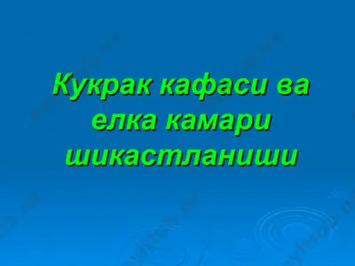 kukrak kafasi va elka kamar shikastlanishi — PPT