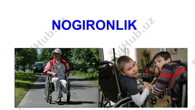 nogironlik — PPTX