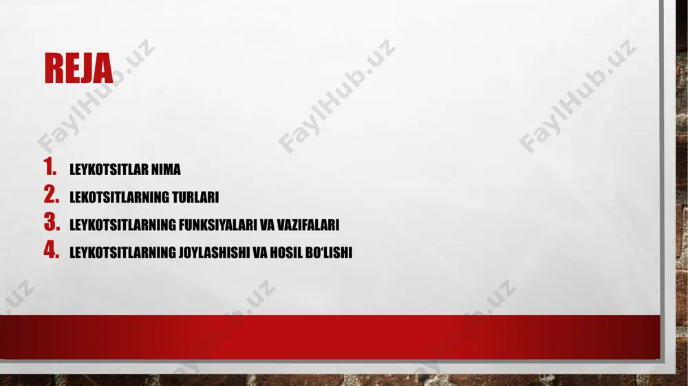 rashish, qon hosil bo'lish jarayoniga ta'sir qilish va b-limfotsitlar faoliyatini nazorat qilish. b-limfotsitlar- qo'llab-quvvatlash gumoral immunitet bakterial va kurash virusli infektsiyalar antikor oqsillarini hosil qilish orqali. monotsitlar- tufayli mumkin bo'lgan eng faol fagotsitlar funktsiyasini bajarish katta raqam sitoplazma va lizosomalar (hujayra ichidagi ovqat hazm qilish uchun mas'ul organoidlar). leykotsitlarning vazifalar leykotsitlarning ahamiyati ularning immunitet reaktsiyasida ishtirok etishi va tanani har qanday xorijiy agentlarning kirib kelishidan himoya qilish bilan izohlanadi. oq qon hujayralarining asosiy vazifalri fagositoz antitelolar ishlash oqsil toksinlarni yo'q qilish va olib tashlash. 3 neytrofillar. fagotsitozda bevosita ishtirok eting. ular hujayralararo suyuqlikka va mikrob yashaydigan hujayraga kirishga qodir. bunday immun hujayralardan biri 20 tagacha bakteriyani hazm qila oladi. mikroblarga qarshi kurashda neytrofil o'ladi. o'tkir yallig'lanish organizm tomonidan bunday hujayralarning keskin ishlab chiqarilishini qo'zg'atadi, bu darhol leykotsitlar formulasida aks etadi, miqdori ortdi. monotsitlar. neytrofillarga yordam bering. yallig'lanish o'chog'ida kislotali muhit paydo bo'lsa, ular faolroq bo'ladi. limfotsitlar. ular o'z hujayralarini tuzilishidagi …