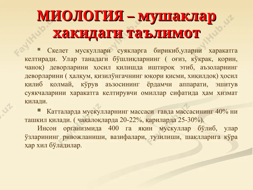 рининг йўналишига кўра: тўғри (m.rectus), қийшиқ толали (m.obliguus), кўндаланг (m.transversus), айлана (m.orbicularis) бўлиши мумкин. мускул толаларининг мускул пайига ёпишишига кўра бир патли (m.unipennatus), икки патли (m.bipennatus) ёки махсус ҳолда йўналишига кўра ярим пай (semitendinosus) ва ярим парда (senimembranosus) ҳолда ҳам бўлиши мумкин. мускуллар ўз вазифасига кўра букувчилар (flexores), ёзувчилар (extensores), яқинлаштирувчилар (adductores), узоқлаштирувчилар (аbductores), айлантирувчи (бурувчи)лар (rotatores) ичкарига-пронаторлар (pronatores) ва ташқарига- супинаторлар (supinatores) га таснифланади. мускуллар ўзига яқин турган бўғим ёки бўғимлар устидан сакраб ўтишини ҳисобга олганда бир-икки ёки кўп бўғимли мускулларга бўлинади. мускуллар ўз жойлашувига кўра юзаки, чуқур, латерал ва медиал мускулларга бўлинади. орқа мускуллари орқа мускуллари, musculi dorsi кўп сонли бўлиб, уларнинг асосий қисмини орқанинг ayтoxтoн мускуллари ташкил этади. орқа мускуллари юза ва чуқур мускулларга бўлинади. орқанинг юза мускуллари. 1. елка камари ва елка суягига ёпишувчи мускуллар икки қават бўлиб жойлашади. улардан энг юза жойлашган икки мускул бор трапециясимон ва орқанинг сербар мускулидир. 1.m.trapezius трапециясимон мускул, учбурчак шаклига …