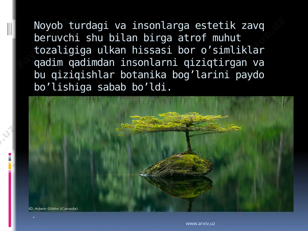 ika bog‘i – о‘zbekistonning eng qadimgi botanika bog‘laridan biri bо‘lib, uning tarixi 1920 yilga borib taqaladi. о‘zr fa botanika bog‘i qurilishi uning hozirgi hududida 1950 yilda akademik f.n rusanov rahbarligida boshlandi. www.arxiv.uz hozirgi kunda botanika bog‘i botanika instituti bilan bitta tashkilot sifatida faoliyat olib boradi. botanika bog‘ining umumiy maydoni 66 ga bо‘lib, toshkent shahrining shimoli-sharqida joylashgan. bog‘ dendrariysi 40 ga maydonni egallagan bо‘lib, sharqiy osiyo, shimoliy amerika, markaziy osiyo, uzoq sharq, yevropa, qrim, kavkaz dendroflora ekspozitsiyalaridan iborat. undan tashqari, dorivor о‘simliklar uchastkasi, biologik, sistematik, karantinli, tajriba-ishlab chiqarish uchastkalari, oranjereya-issiqxona majmui ham mavjud. botanika bog‘i kolleksiyasini daraxt, buta, yarim buta, liana, о‘t va suv о‘tlari о‘simliklarining 4500 turi, shakli, turkumi va navlari tashkil etadi www.arxiv.uz www.arxiv.uz . botanika bog‘i shaharni kо‘kalamzorlashtirish uchun ochiq grunt, shuningdek qishki bog‘lar va ichki interyerlar uchun о‘simliklarning yangi yuqori manzarali turi va shakllarini taqdim etadi. botanika bog‘i bilan tanishish bosh kirish joyidan, turli qit’alarda tabiiy ravishda …