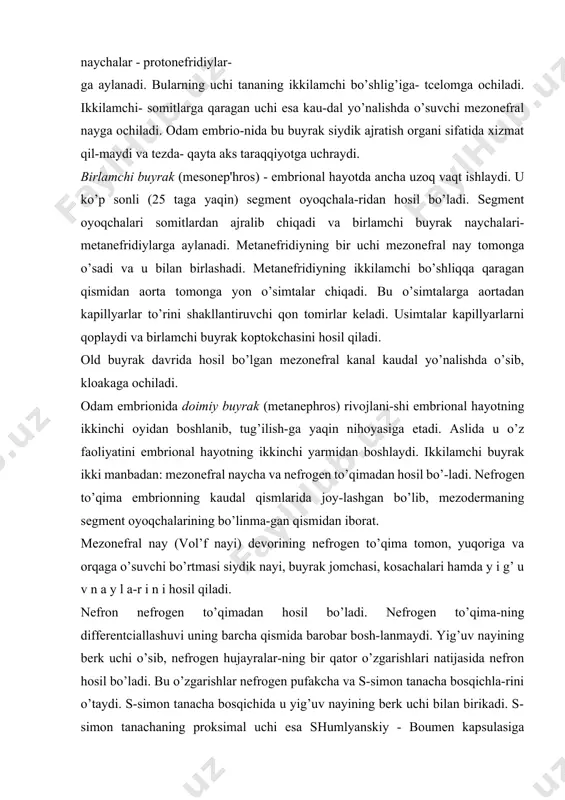 cha qismida barobar bosh-lanmaydi. yig’uv nayining berk uchi o’sib, nefrogen hujayralar-ning bir qator o’zgarishlari natijasida nefron hosil bo’ladi. bu o’zgarishlar nefrogen pufakcha va s-simon tanacha bosqichla-rini o’taydi. s-simon tanacha bosqichida u yig’uv nayining berk uchi bilan birikadi. s-simon tanachaning proksimal uchi esa shumlyanskiy - boumen kapsulasiga aylanadi. bu tanachalarning qolgan qismlaridan nefronning boshqa barcha bo’limlari rivoj-lanadi. buyrakning tuzilishi buyrak juft a’zo bo’lib, qorin bo’shlig’ining orqa devorida umurtqa pog’onasining ikki yonida joylashadi. uning shakli loviyasimon, botiq yuzasi buyrakning darvozasi hisoblanadi. darvozaga buyrak arteriyalari kirib, buyrak venalari, siydik nayi va limfa tomirlari chiqadi. bu erda siydik chiqaruv yo’l-lari-buyrak kosachalari, jomlari va siydik chiqaruv naylari ham joylashadi. buyrak biriktiruvchi to’qimadan iborat kapsu- 231- rasm. buyrak. 1 - birpktiruvchi to’qimali kapsula; 2 - po’st modda; 3 - buyrak tanachasi; 4 – nefronning proksimal va distal bo’limi; 5 - mag’iz nurlari; 6 - mag’iz modda; 7 - to’gri kanallar (nefron qovuzlognning pastga tushuvchi vz yuqoriga …