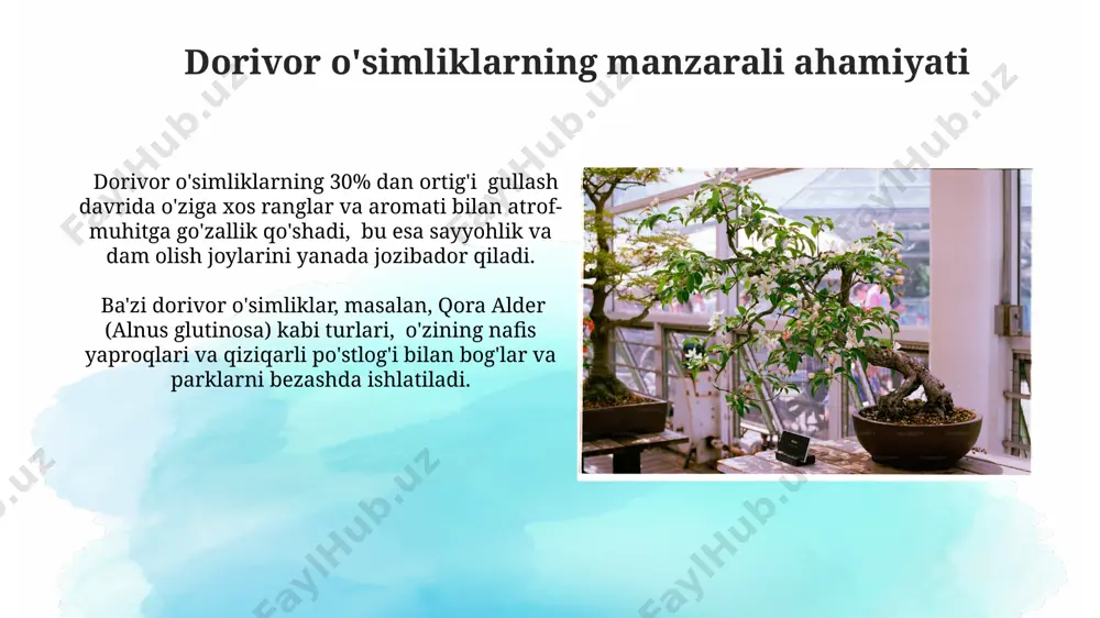 shimoliy amerika manzarali daraxtlar va dorivor o'simliklar - Page 5