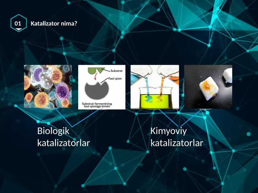 katalizatorlar va ingibitorlar - Page 5