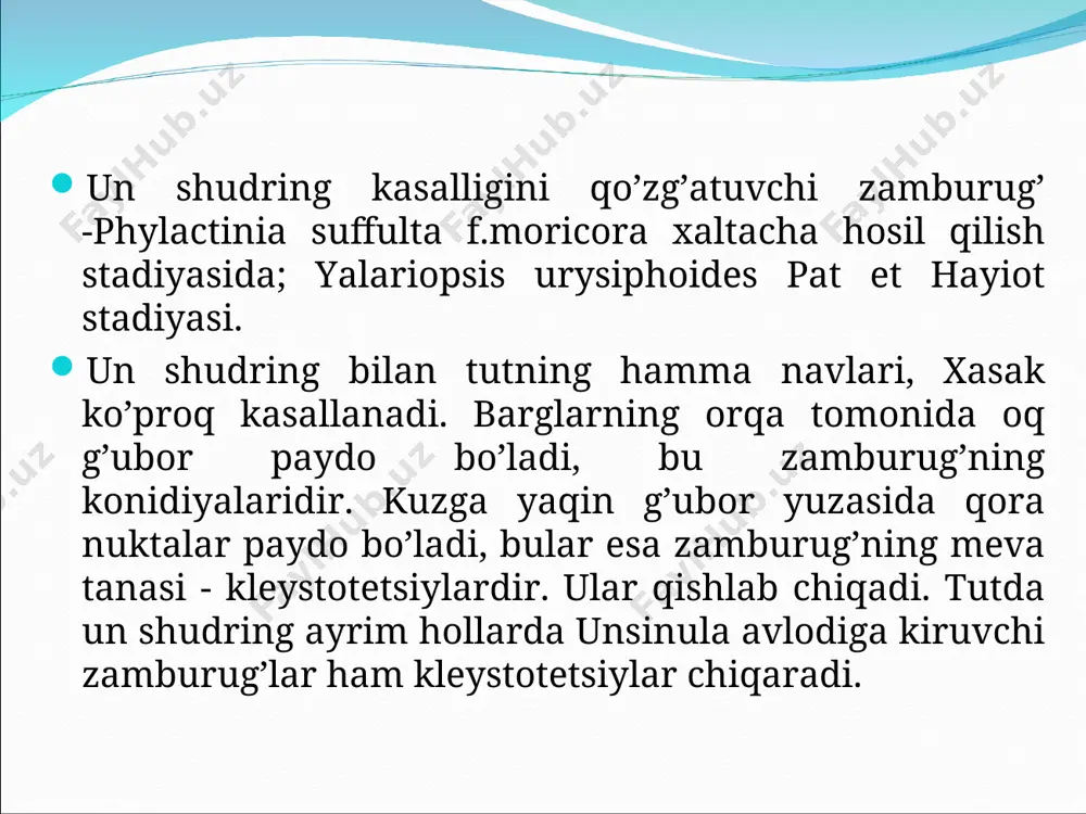 hi mumkin. shuningdek bir hududdan boshqa hududlarga va yer shari bo’ylab tarqalishiga imkoniyat yaratadi. natijada bakterial kasalliklarning yangi areallari vujudga keladi. urug’larda infektsiya urug’ po’stida va uning ichida saqlanishi mumkin. urugning tashqi infektsiyasi urug’ po’stiga mexanik zararlanish orqali tushadi. urug’ning ichki infektsiyasi urug’ning murtak yoki endosperm qismida uchrashi mumkin. urug’larning bakteriyalar bilan zararlanishi quyidagi yo’llar bilan amalga oshadi: 1. urug’larni mevadan ajratish jarayonida zararlanish. bu jarayon pomidor, bodring, tamaki o’simliklarida kuzatiladi. masalan, pomidor urug’larining bakterial rak (cor. michiganense) va qora dog’lanish (x. vesica!oria) bilan, bodringning bakterioz (ps.lachrymans) bilan, tamakini ps.tabaci bilan zararlanishi mevadan yoki ko’saklaridan ajratish jarayonida amalga oshadi. 2. bakteriyalar o’simlik o’sish davrida mevaning zararlanishidan zararlangan uruglar. masalan, tamaki kusaklari o’sish davrida ps.tabaci bakteriyasi bilan zararlanib, urug’ni ham zararlaydi. x. translucens va ps.atrofaciens bakteriyalar bug’doy boshog’ining kasallangan qobiqlaridan zararlanadi. 3. urug’ oziqlanadigan o’tkazuvchi naylar orqali zararlanish. sog. michiganense, x. malvacearum bakteriyalari urug’ga shunday yo’l bilan kirib keladi. kartoshka tuganagining …