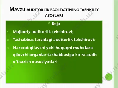 auditorlik faoliyatining tashkiliy asoslari — PPTX