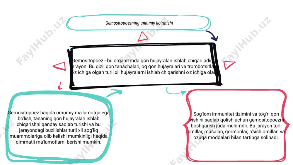 ni ishlab chiqishga qaratilgan. gemositopoezning asosiy mexanizmlarini o'rganish orqali tadqiqotchilar qon kasalliklari va kasalliklarini davolashning yangi strategiyalarini ochishga umid qilmoqdalar. ushbu davom etayotgan tadqiqot gematopoetik jarayonlarni tushunish va bemorning natijalarini yaxshilash uchun juda muhimdir. gemositopoez disregulyatsiyasining klinik oqibatlari 02 03 01 gemositopoez jarayonini boshqarish tanadagi qon hujayralari ishlab chiqarishni tartibga solish va nazorat qilishni o'z ichiga oladi. ushbu jarayondagi har qanday tartibsizlik turli xil klinik oqibatlarga olib kelishi mumkin. gemositopoez disregulyatsiyasining asosiy klinik oqibatlaridan biri anemiya, leykemiya va trombotsitopeniya kabi qon kasalliklarining rivojlanishi hisoblanadi. bunday sharoitlar jiddiy sog'liq muammolariga olib kelishi mumkin. gemositopoez disregulyatsiyasi ortidagi mexanizmlarni tushunish samarali davolash strategiyalarini ishlab chiqish va bemorning natijalarini yaxshilash uchun juda muhimdir. tadqiqotchilar qon hujayralari ishlab chiqarish buzilishlarini yaxshiroq boshqarish yo'llarini topish uchun ushbu jarayonni o'rganishni davom ettirmoqdalar. gemositopoez tadqiqotlarining kelajakdagi yo'nalishlari 01 02 03 sog'lom qon hujayralari ishlab chiqarish tizimini saqlab qolish uchun gemositopoez jarayonini boshqarish juda muhimdir. murakkab mexanizmlarni tushunib, tadqiqotchilar …