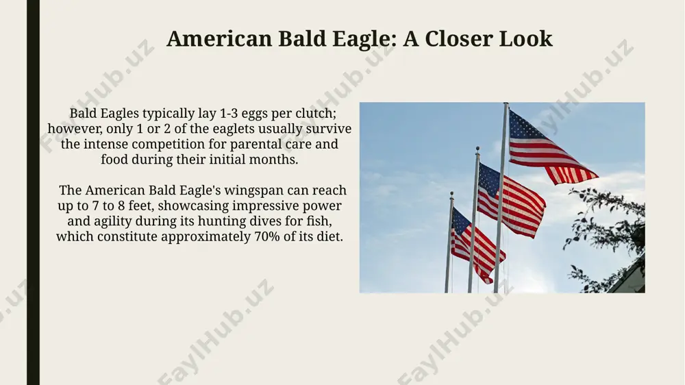 american symbols - Page 4