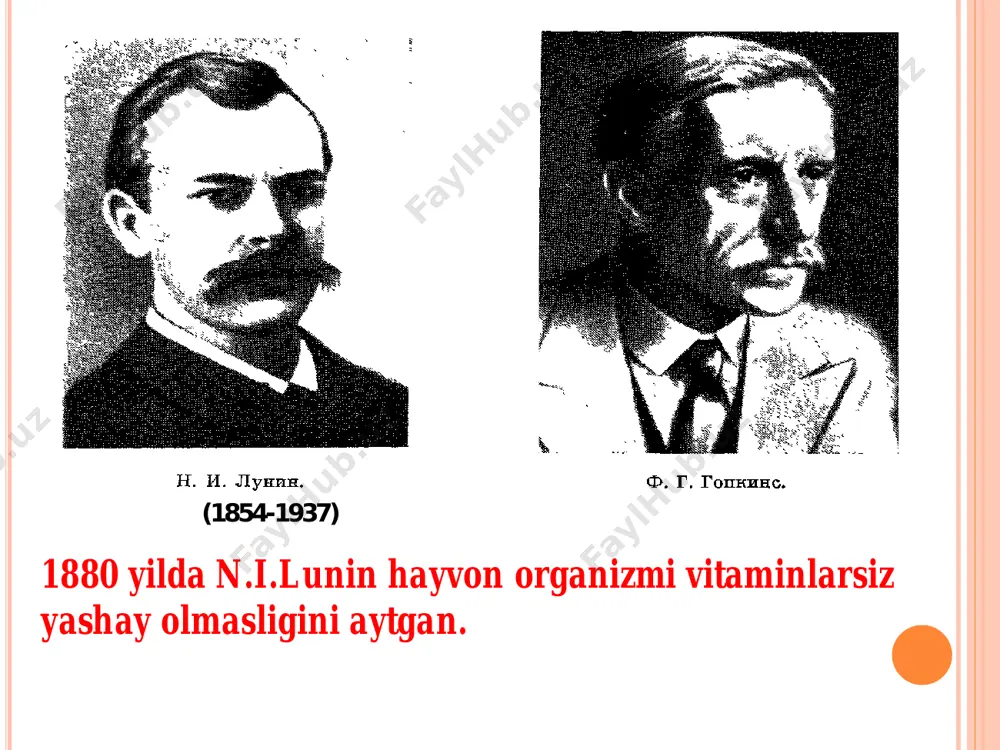 karotin, askorbin kislota, na'matak turlari,qora smorodina, jumrutsimon chakanda, dorivor tirnoqgul, ikki uyli gazanda, makkajo’xor, ganchituvchi bozulbang, jag’ - jag’.  tarkibida vitaminlar saqlovchi dorivor o’simlik va mahsulotlar na’matak mеvasi qora smorodina bargi va mеvasi vitamin c saqlovchi dorivor o’simlik va mahsulotlar karotinga boy dorivor o’simliklar va mahsulotlar chakanda mеvasi va moyi tirnoqgul guli vitamin k1 saqlovchi dorivor o’simlik va mahsulotlar bozulbang guli gazanda bargi makkajo’xori onalik gulining ustunchasi bilan og’izchasi jag’ - jag’ yеr ustki qismi na'matak mеvasi - fructus rosae na'matak turlari - rosa sp. ra'noguldoshlar - rosaceae беггeр наъматаги - rosa beggeriana schrenk. бурушқоқ наъматак - rosa rugosa thunb. даурия наъматаги - rosa davurica раll. 3ангезур наъматаги - rosa zangezura р. jarosch. итбурун наъматак - rosa canina l. май наъматаги (долчинсимон наъматак) - rosa majalis неrrm. (rosa cinnamomea l.) майдагул наъматак - rosa micrantha smith. паҳмоқ наъматак - rosa tomentosa smith. тиканли наъматак - rosa acicularis lindl. федченко …
