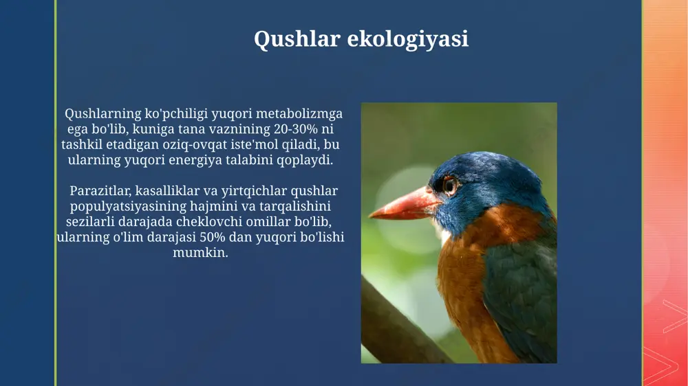 qushlarning biologiyasi, kelib chiqishi va evolyutsiyasi - Page 4