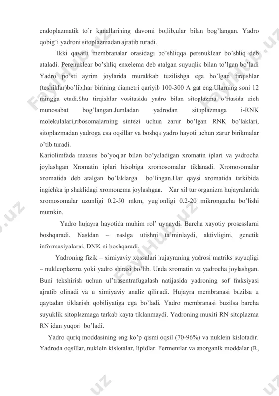 oning muxiti rn sitoplazma rn idan yuqori bo’ladi. yadro quriq moddasining eng ko’p qismi oqsil (70-96%) va nuklein kislotadir. yadroda oqsillar, nuklein kislotalar, lipidlar. fermentlar va anorganik moddalar (r, k, sa, md) va boshqalar uchraydi. yadro tarkibida oddiy va murakkab oqsillar kiradi. oddiy oqsillar 2 xil asosli (gistonlar va protaminlar) va kislotali (globulinlar va oqsil qoldiqlari)ga bo’linadi. murakab oqsillarga oddiy oqsillarning nuklein kislota bilan birikmasi (nukleoproteidlar va nukleogistonlar) kiradi. yadro tarkibiga nukleoproteidlardan tashqari lipidlar kiradi. mineral moddalardan r, k, md uchraydi. asosli oqsillar ichida eng ko’p tarqalganlari gislotalardir. m: qushlar eritrositlarida yadroning salkam 40% ni gistonlar tashkil qiladi. gistonlarning molekulyar ogirligi 120000 gacha ekanligi aniqlangan. dnk yadroning asosiy ximiyaviy komponenti hisoblanadi. u xromosoma tarkibida uchraydi. dnk tufayli genetik informasiya nasldan – naslga utadi. asosli oqsillar yadro xromatidlari tarkibiga kiradi, kislotali oqsillar esa yadro qobig’ida, yadrochada va karioplazmada to’planadi. yadro strukturasi xromatin tur gamogen yadro shirasi orasida yaqqol ajraladi. yadroni tursimon …