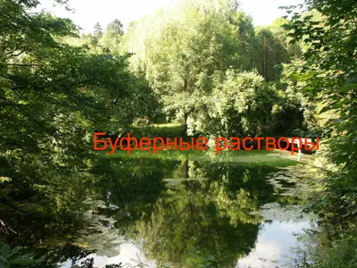 буферные растворы — PPT