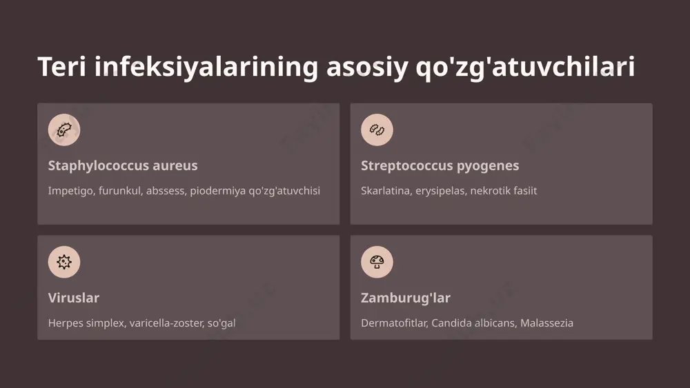 teri infeksiyalari qo‘zg‘atuvchilari, patogenez, laboratoriya tashxisi - Page 5