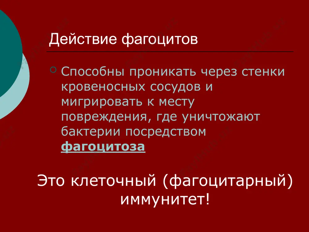 иммунитет - Page 5