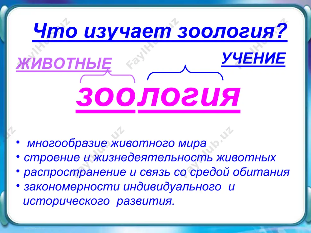зоология - Page 2