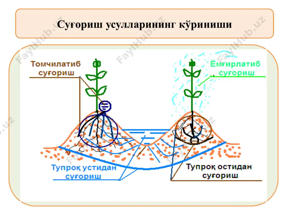 рга нисбатан 20-60 % гача камаяди меҳнат ва ресурлар сарфи камаяди (культивация қилиш камаяди, техника кам ишлатилади) бериладиган ўғит миқдори 50 % гача камаяди тупроқ эрозияси тўхтайди, ер ости суви сатҳи кўтарилиши ва тупроқ шўрланиши камаяди. томчилатиб суғоришни қўллашнинг самараси экин тури сув тежалиши, % меҳнат сарфининг камайиши, % ҳосилдорлик ошиши, % пахта 30-40 50-60 90-150 боғ-токзор 40-60 25-30 20-25 сабзавот-полиз 50-55 50-60 55-65 томчилаб суғориш натижалари бутазор ва йирик тошли ерларни, дарахт қолдиқларини тозалаш машиналари. далаларнинг гидрологик, тупроқ ва агроиқлим шароитини қулай ҳолатга келтирмасдан туриб деҳқончиликда экинлардан юқори ҳосил олиш мумкин эмас. ерларни мелиоратив ҳолатини яхшилаш учун махсус мелиорация машиналари, уларга қўшимча равишда оддий қурилиш , йўл қурилиш ва қишлоқ хўжалиги машиналари ҳам ишлатилади. махсус мелиорация машиналарига дарахтзор ва бутазор ерларни тозалаб, бирламчи шудгорлашга тайёрлайдиган, суғориш ва зах қочириш учун турли ўлчамдаги ариқ ва каналларни ковлайдиган, кейинчалик эса уларни тозалайдиган, зовур ва ёпиқ дренаж ўтказадиган, суғориш шаҳобчаларини тайёрлайдиган, суғорадиган …