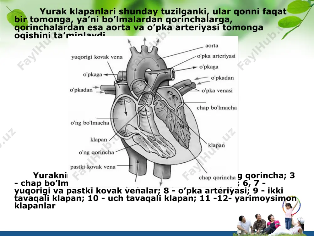 gi turli yoshdagi kishilarda, ayollarda, bolalarda turlicha bo’ladi. bundan tashqari turli xil kasalliklar tufayli ham o’zgarishi mumkin. masalan: 3-9mm. erkaklarda, ayollarda 7-12mm. soatiga cho’kadi. organizm holatining o’zgarishlarida eritrositlar cho’kish reaksiyasini o’zgarishi kuzatiladi. eritrositlarning ma’lum tezligida cho’kishdan foydalanib tibbiyotda kasalliklarni belgilashda foydalaniladi. buni tibbiyotda poe deyiladi. aniqlaydigan asbobni panchenko apparati deyiladi. l/o/g/o organizm qattiq shamollaganda tuberkiloz kasalligida, xomilador ayollarda, yallig’lanish kasalligi boshlaganda va boshqa o’zgarishlarda eritrositlar cho’kish reaksiyasi tezligi ortadi. leykositlar oq qon tanachalari qoning yadroli xujayralari bo’lib aktiv harakatlarning xususiyatiga egadir. ular har xil shaklda bo’lib, 1kub mm bolalar qonida 8000-11000 gacha bo’ladi, katta odamlarda normal holatda bo’ladi. uning soni kun mobaynida o’zgarib turishi mumkin. lekositlar 3 gruppa bo’ladi. 1) donador leykositlar 2)donasiz leykositlar 3) monositlar. l/o/g/o donador leykositlar o’z navbatida 3 guruhga bo’linadi: neytrofilar eozanofillar va bazofillar. leykositlarning ko’rsatilgan miqdoridan ortib ketishi lekositoz deb atalsa miqdordan kamayib ketishi lekopinya deyiladi. lekasitlar organizm ichki muhutining posboni hisobl;anadi chunki lekositlar qonga …