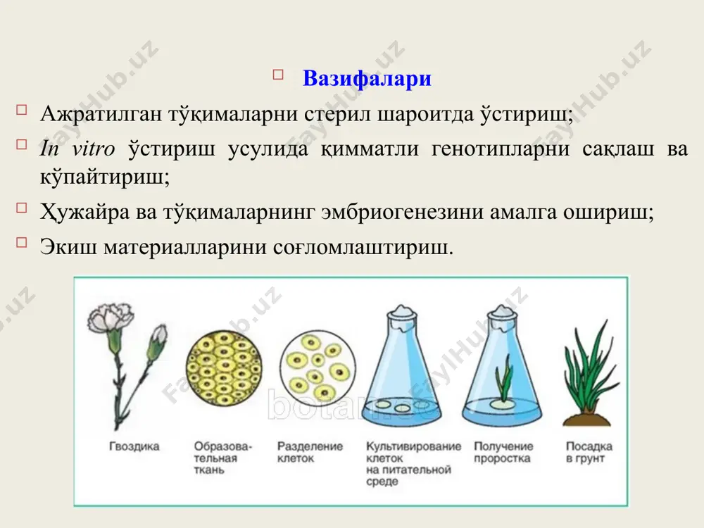 ҳужайра муҳандислиги - Page 5