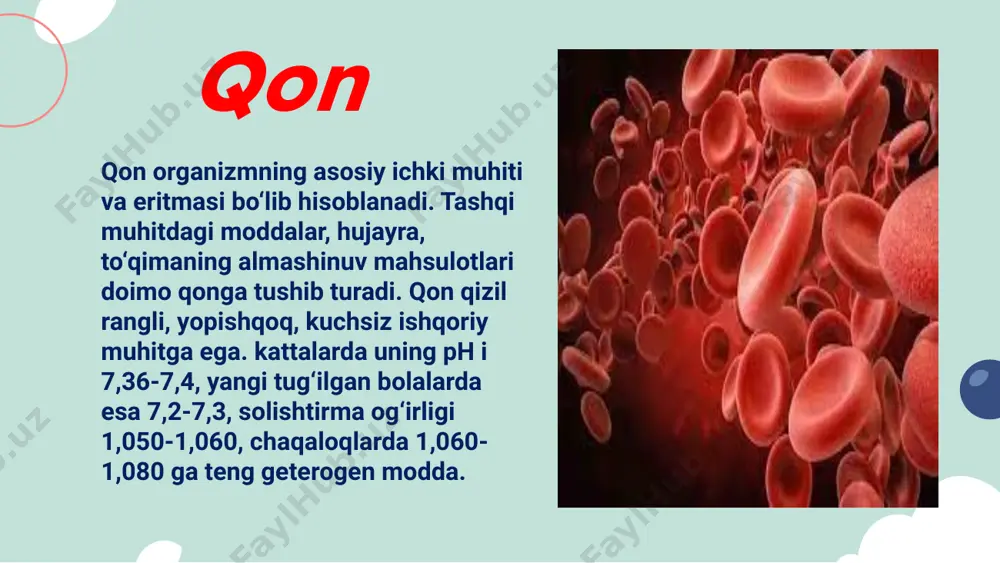 nin 0,06-0,16 mmol/l, kreatin 0,08-0,11 mmol/l, indikan 1 - 4 mkmol/l, glyukoza 3,6 -5,5 mmol/l. qon plazmasi tarkibi albuminlar fibrinogenlar globulinlar qon plazmasidagi oqsillar absolyut -jigar funksiyasi oshishi nisbiy- diareyada yallig'lanish absolyut-jigar shikastkanishi nisbiy-shishkar qaytganda -krioglobulin -alfa fetoglobulin qon plazmasida oqsillarning o'zgarishi giperprotemiya disprotenemiya gipoprotemiya paraprotenemiya jigar shikastlanganda absolyut gipoprotenemiya buyrakdagi nefrotik sindrom gipoprotemiyada 1.qon plazmasini oqsillarini tuzlash usuli orqali 3 ta fraksiyaga -albumin,globulin, ffibrinogen 2.elektroforez usulida esa 6 ta fraksiyaga bo'linadi : -albunimlar -alfa 1 globulinlar -alfa 2 globulinlar -betta globulinlar -gamma globulinlar -fibrinogenlar qon plazmasini oqsillarini fraksiyalarga ajratish alfa 1 globulinlar -alfa 1 glikoprotein (oromukoid ) -alfa1 antitripsin (trypsin,plazma) -transkatin( buyrak usti bezi ) -kortizol -retinol bog'i oqsil-vitamoqsil-vitamin a -tiroksin bog'i oqsil -tiroksin alfa 2 globulinlar - -gattaglobulin-gemolizdan keyin gemni saqlaydi -seruloplazmin -cu ionini saqlaydi betta globulinlar -qondagi lipoplipoproteinlar -gemopeksin gamma globulinlar -immunoglobulinlar -iga,j,m,d,e -interferonlar- alfa,betta ,gamma (virusga qarshi ) qon fermentlari -sekretor-qon ivish omillari -indicator-normal hujayra ichida …