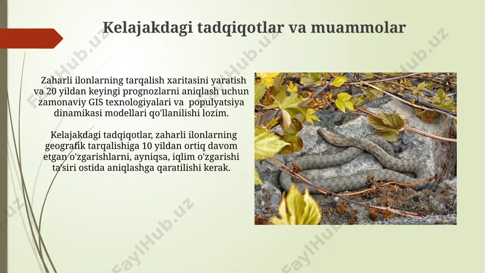 im hollari sonini sezilarli darajada kamaytiradi. zararlangan hududni to'g'ri bog'lash va bemorni shifoxonaga tez yetkazish, o'lim xavfini 10-15% ga pasaytiradi, bu esa muvaffaqiyatli davolanish ehtimolini oshiradi. zaharli ilon chaqishi belgilari va birinchi yordam chaqish joyiga 5-10 sm masofada bosim bandaji qo‘yish, jabrlanuvchini tinchlantirish va tez tibbiy yordam chaqirish juda muhim. antidotlarni faqat shifokor buyurishi mumkin. chaqishdan keyingi 30 daqiqada simptomning og‘irligi, jabrlanuvchining yoshi va umumiy sog‘lig‘i birinchi tibbiy yordam va keyingi davolash strategiyasini aniqlashda muhim rol o‘ynaydi. efiopiya gaboni (bitis arietans) bitis arietans zaharli ilonining uzunligi 60 dan 150 sm gacha o'zgarib turadi va ularning tanasi zich, qalin teriga ega bo'lib, himoya mexanizmi sifatida xizmat qiladi. ushbu turdagi ilonlarning zahari gemotoksinlarga boy bo'lib, qon ivishini buzadi va qon ketishiga olib keladi, o'limga olib kelishi mumkin. ld50 ko'rsatkichi taxminan 2 mg/kg. zaharli ilonlarning populyatsiyasi va muhofazasi markaziy osiyodagi cho'l hududlarida yashovchi qoraqurtlarning populyatsiyasi iqlim o'zgarishlariga juda sezgir bo'lib, so'nggi 10 yilda …