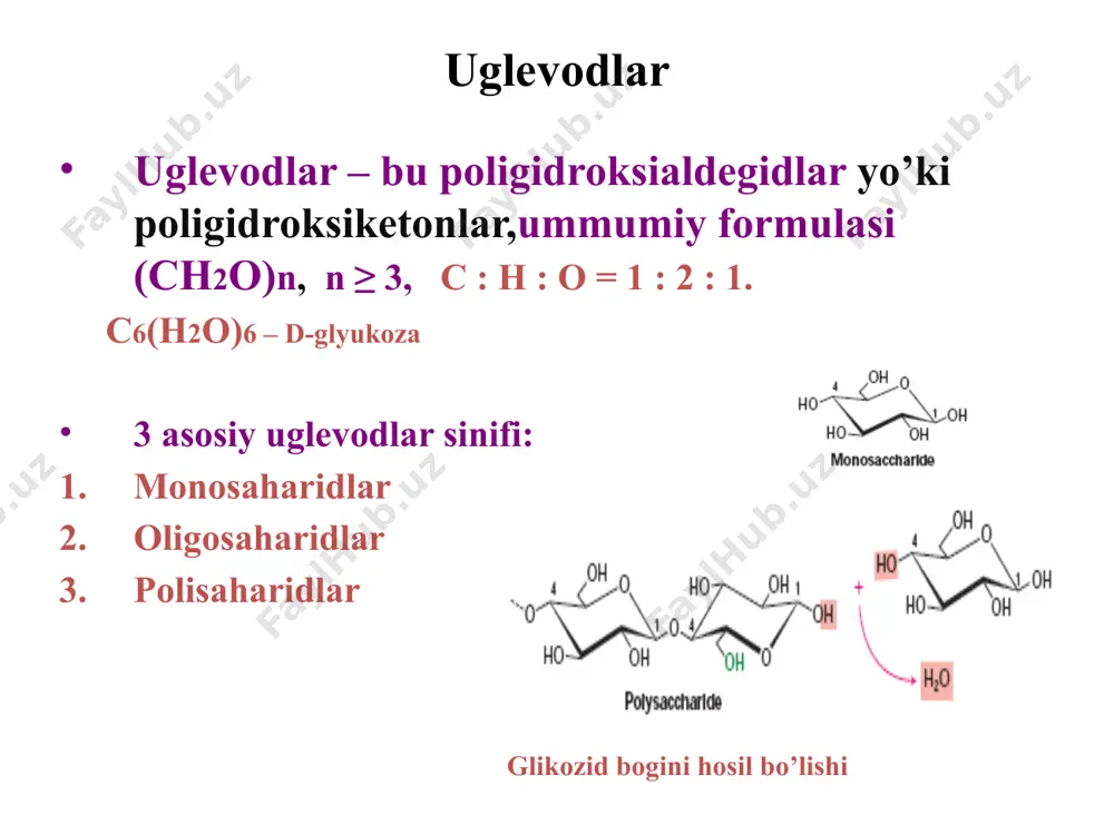 atida ishlanib chiqadi. kletchatka (oshqozon-ichak traktida) hazmlanmaydi va najasni hosil bo‘lishini ta’minlaydi. bijg’ish sutni kutarolmaslik ichak mikroflorasi uglevodlarni va ularning mahsulotlarini ozuqa sifatida ishlatadi.disbakteriozda ularni uzlashtirish buziladi,osmamolyaelik oshadi,suv ichaklarda oshadi va diareyalarga,spazm va og’riklarga olib keladi.parchalanmagan uglevodlar bakteriyalarni ta’siri natijasida gazlar yig’ilishi va metiorizm kuzatiladi. ichaklarda mal’taza va laktaza fermenti etishmasligi disaharidlarni parchalanishi buzilishiga olib keladi. bu sut va sut maxsulotlarini ko’taraolmaslikka: diareya va qayt qilishga sabab bo’ladi.chaqoloqlarda bu nasliy kasallik bo’lishi mumkin. hujayrada glyukozani transport qilinishi glyukozaning miqdori faol transport,natriy ionlari koncentracasiga bog’lik(buyrakda,ichakda) engillashgan difuziya.uning receptorlari barcha to’qimalarda mavjud(glyukoza transporterlari,glyut). to’qimalarda 5 hil glyut mavjud,ular turli to’qimalarda joylashgan.ularning foliyati insulinga bog’liq. miya eritrocitlar va jigar to’qimasi glyukozani tashilishi insulinga bog’liq emas,faqat qondagi koncentracasiga bog’liq. shuning uchun ular insulinga bog’liq bo’lmagan hujayralarga kiradi. glyut-tizimlar: glyut-1 - platsеnta, miya, buyraklar, yo’gon ichak, oz miqdorda yog’ tўqimasi va mushaklarda glyut-2 – asosan jigarda, langеrgans orolchalarining β-xujayralarida, entеrotsitlarda glyut-3 – barcha xujayralarda (miya, …