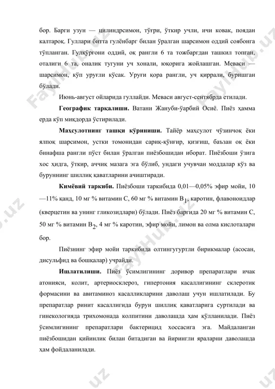 „самарқанд-172“ навларининг пиёзи ниҳоллар униб чиққандан 180—200 кун ўтгач етилади. ер танлаш. мазкур ўсимлик унумдор, енгил, лойқа ўтирган яъни тўпланган ерлар соз тупроқли ҳамда қумлоқ тупроқли ерларда, айниқса, маъдан ўғитлар солинган тупроқда юқори ҳосил беради. алмашлаб экишдаги ўрни. ушбу сабзавот ўсимлигини ёзги-эрта муддатда эртаги, ўртаги сабзавот, картошка ҳосили йиғиштириб олингандан ҳамда ғалладан кейин бегона ўтлар кам бўлган ерларга экилади. мазкур ўсимликни алмашлаб экишдаги ўрни ва ўғитлаш тизими унинг тупроқдаги озуқа моддаларининг кўп ёки кам бўлиши ва бегона ўтларга бўлган муносабатига қараб белгиланади. ўғитлаш ва гербицидлар қўллаш. бўз тупроқли ерларда ҳар гектар далага азотдан 200 кг, фосфордан 150 кг ва калийдан 75 кг дан солинади. ўтлоқи тупроқда эса азотдан 160 кг, фосфордан 160 кг ва калийдан ҳар гектар майдонга 75 кг дан солинади. пиёз ўстиришда органик ўғит бериш мақсадга мувофиқ эмас. пиёз экиладиган майдонларга бир йиллик бегона ўтларга қарши курашиш мақсадида трефлон гербицидидан 8—6 см чуқурликка бир гектар майдонга 1,0—1,5 кг …