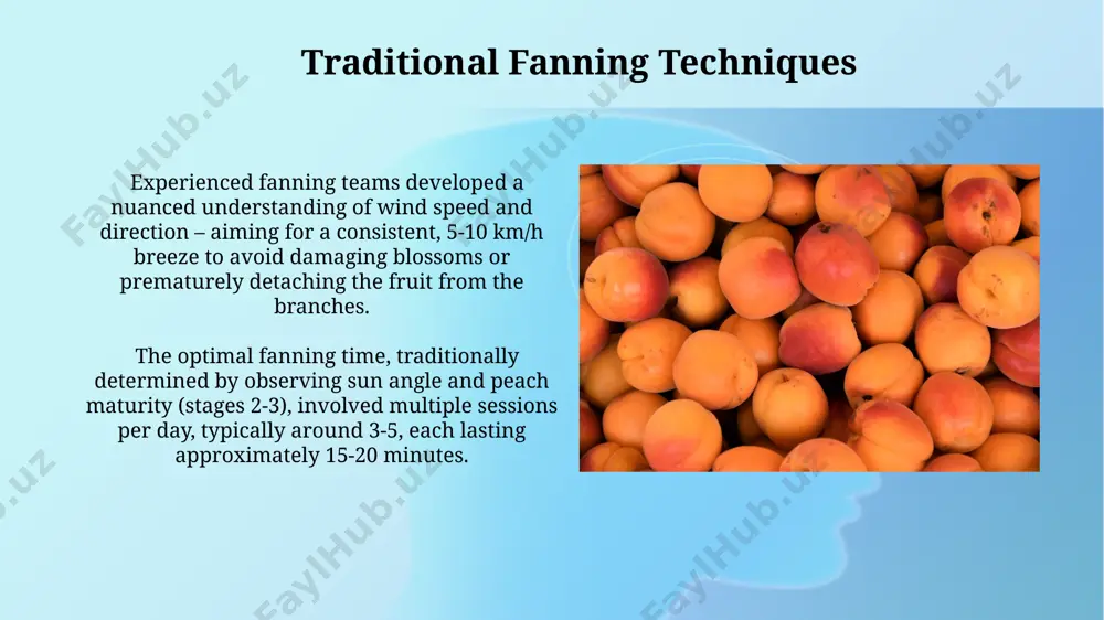 peach fanning methods - Page 5