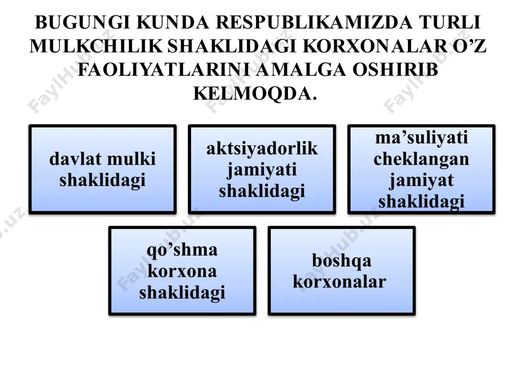 xususiy kapital hisobi - Page 5