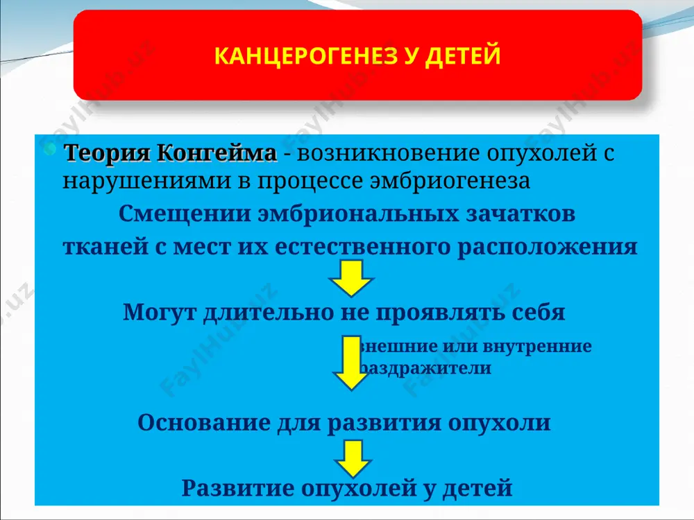 стему почки - при разрыве капсулы при падении - грубой пальпации пальпируемая в животе опухоль - поверхность гладкая или неровная; - консистенция плотная или эластичная; - подвижная, ограничено смещаемая, неподвижная макрогематурия недомогание боль в животе (у 20%) повышение артериального давления (у 25%) гипертермия желудочно-кишечные проблемы клиническая картина «острого живота» клинические проявления - течение беременности: инфекции, применение лекарств - злокачественные заболевания в семье - наличие врожденных аномалий анамнез клинический анализ крови - гипохромная анемия, лейкоцитоз, увеличение соэ катехоламинурия экскреторная урография - деформация и смещение полостей почки нарушения выделительной функции в 82% позволяет поставить диагноз, состояние второй почки методы диагностики узи мскт и мрт брюшной полости и грудной клетки биопсия опухоли всегда первое исследование! простое, быстрое, неинвазивное в сочетании с duplex и doppler оценивается связь опухоли с сосудами наличие тромбов в них оценка состояния второй почки наличие метастазов в печени, забрюшинные лимфоузлы диспансерное наблюдение может заменить узи и урографию ценность 92% - …