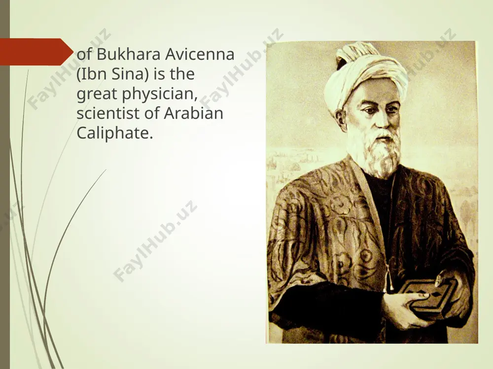 avicenna’s canon of medicine - Page 2