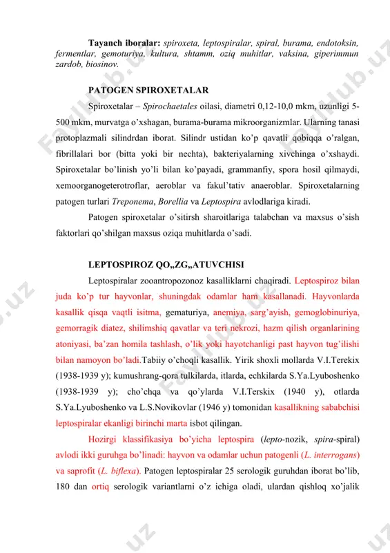 patogen leptospiralar 25 serologik guruhdan iborat bo’lib, 180 dan ortiq serologik variantlarni o’z ichiga oladi, ulardan qishloq xo’jalik hayvonlarida quyidagi seroguruhlari uchraydi - pomona, grippotyphosa, tarassovi, icterohaemorrhagiae, hebdomadis, canicola, cazackstanika. morfologiyasi va tinktorial xususiyatlari. leptospiralar tanasi o’qida joylashgan ikkita uzun, ingichka iplar va ularga vintga o’xshab buralgan sitoplazmali spiral yordamida harakat qiladi. 12-18 ta bir-biriga jipslashib turuvchi birlamchi buramlari bor. spiralning birinchi buramlari juda mayda va bir biriga mahkam yopishgan bo’ladi. buramalarning shakli va kattaligiga qarab leptospiralar c, s, x harflari, ba’zan 8 raqami shaklida bo’lishi mumkin. leptospiralarning uchlari ilmoq ko’rinishida egilgan bo’ladi. ammo ilmoqsiz shakllari ham uchraydi. ba’zilarining uchlari yumaloq, yo’g’onlashgan bo’ladi. hujayra uzunligi 7-15 mkm, ( 30 mkm va undan ham uzunlari uchraydi) eni 0,1-0,25 mkm. tanasi o’q ipi, sitoplazmatik silindr, ko’ndalang halqalar va ko’p qavatli qobiqdan iborat. ustida mikrofibrillalari bor. nukleoidi ekssentrik joylashgan. spora va xivchin hosil qilmaydi. aktiv harakatchanligi - leptospira avlodi mikroorganizmlarining diagnostik belgilaridan biri …